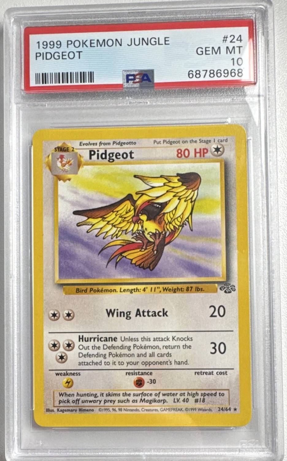 Pidgeot