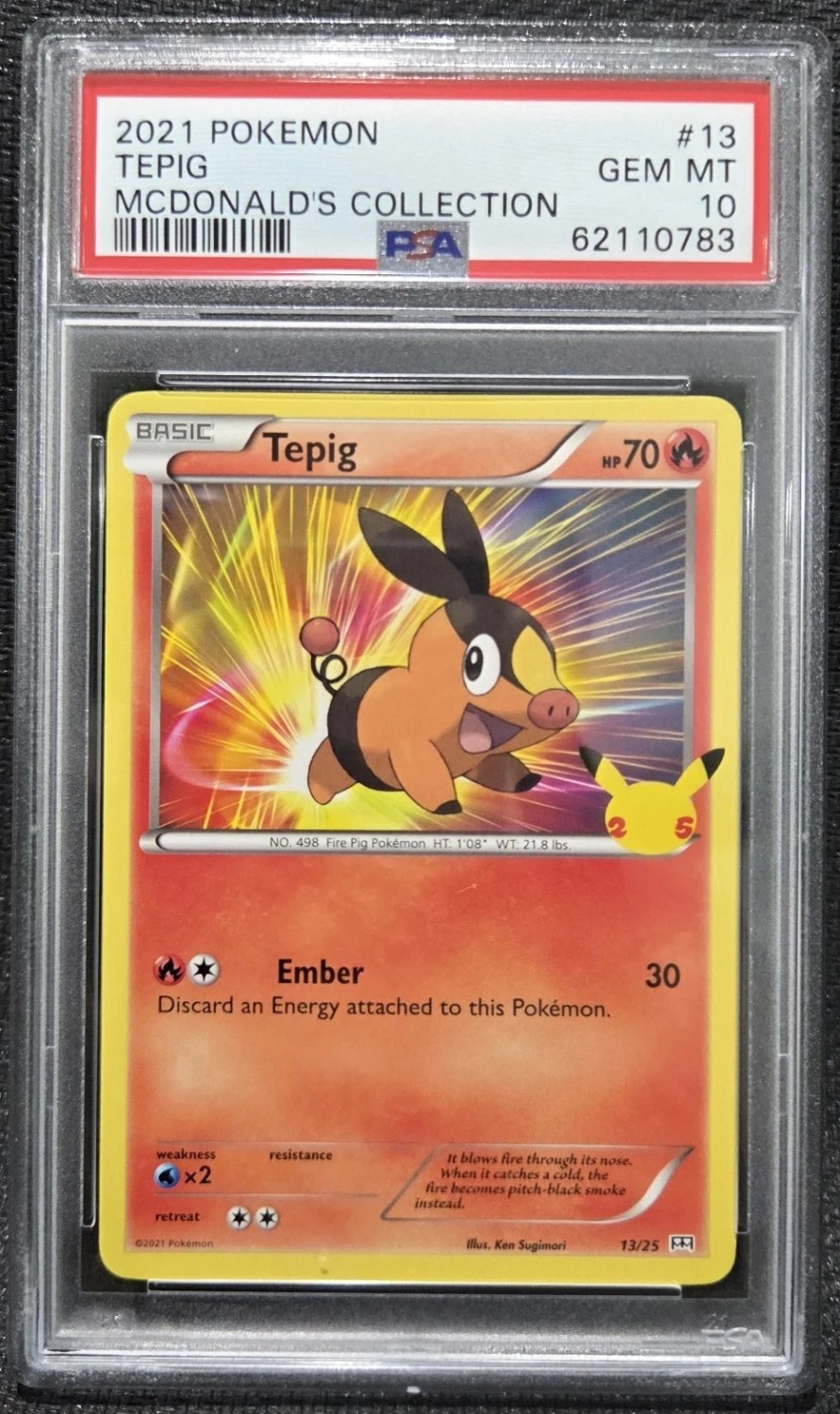 TEPIG