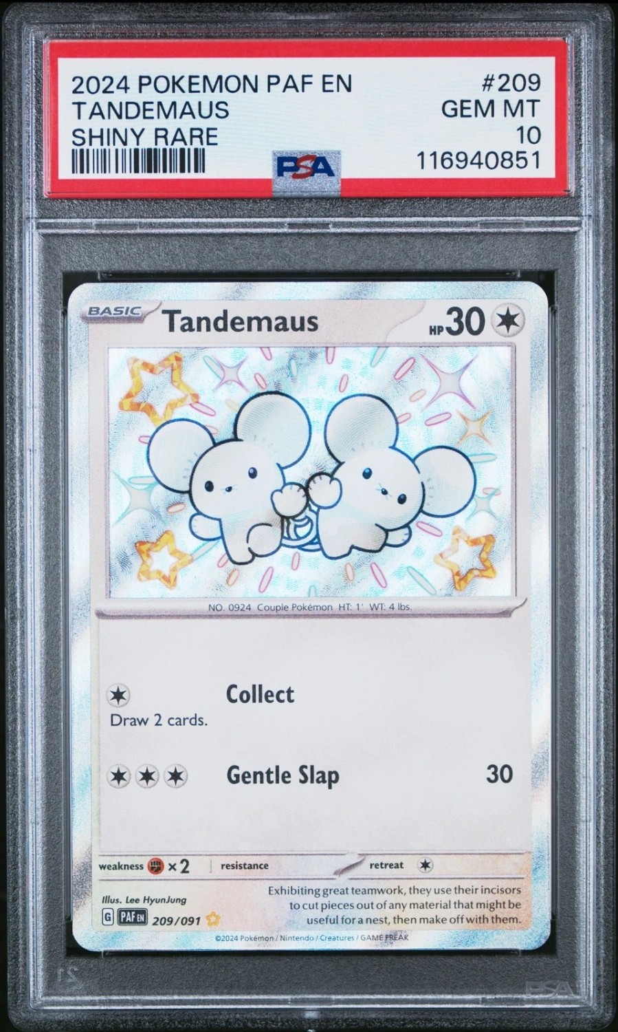 Tandemaus