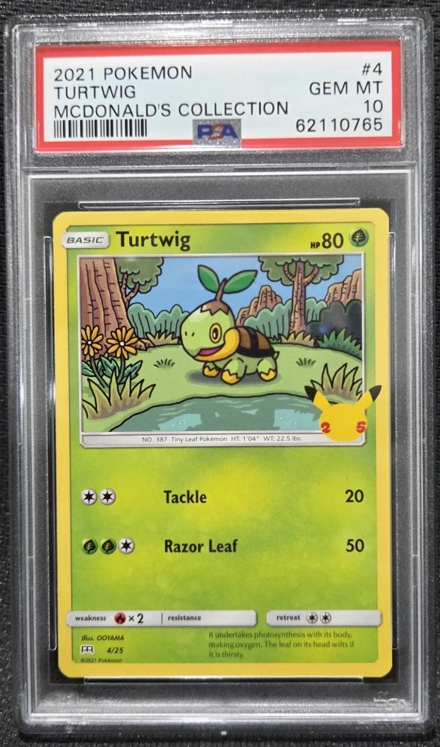 TURTWIG