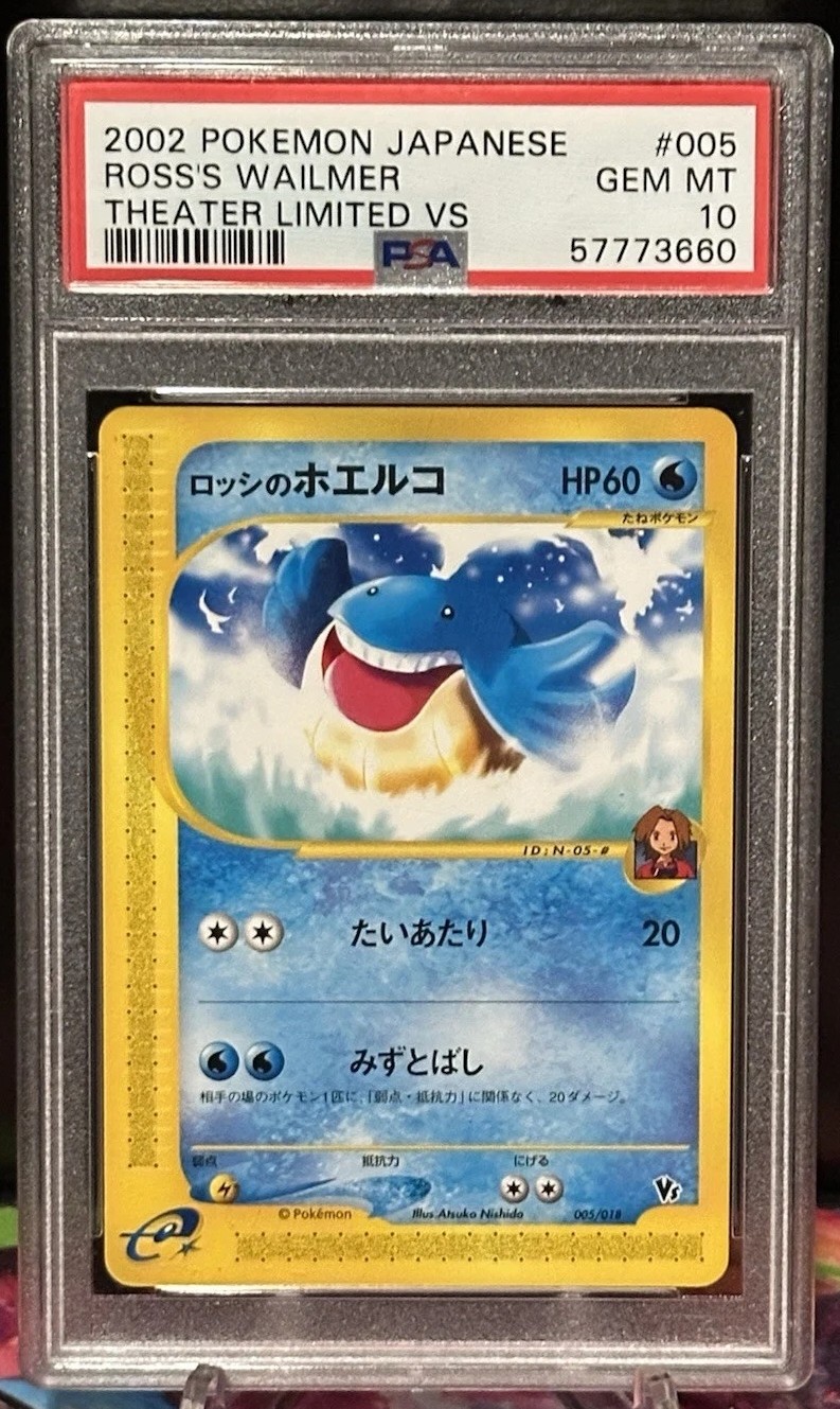 Ross's Wailmer