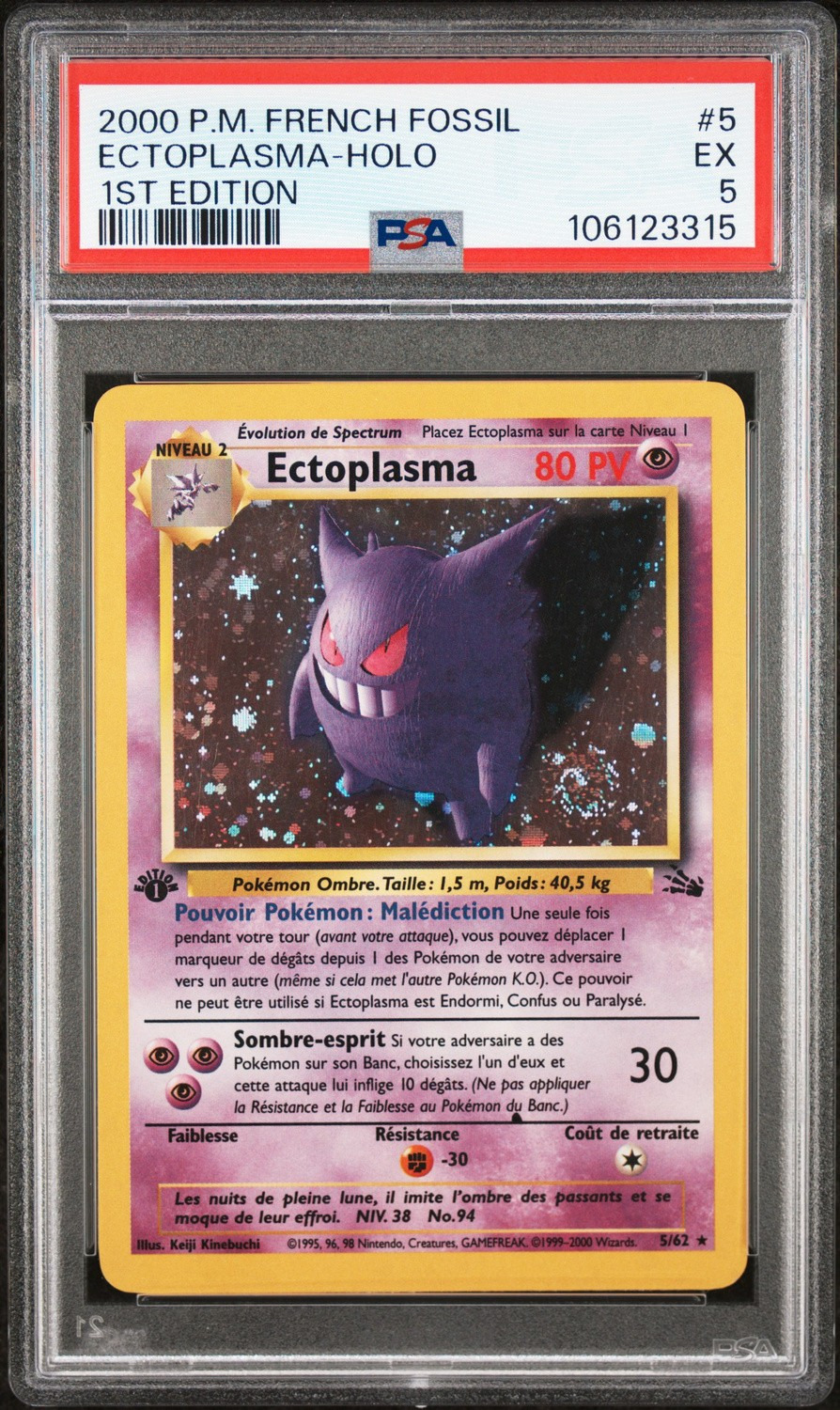 Ectoplasma