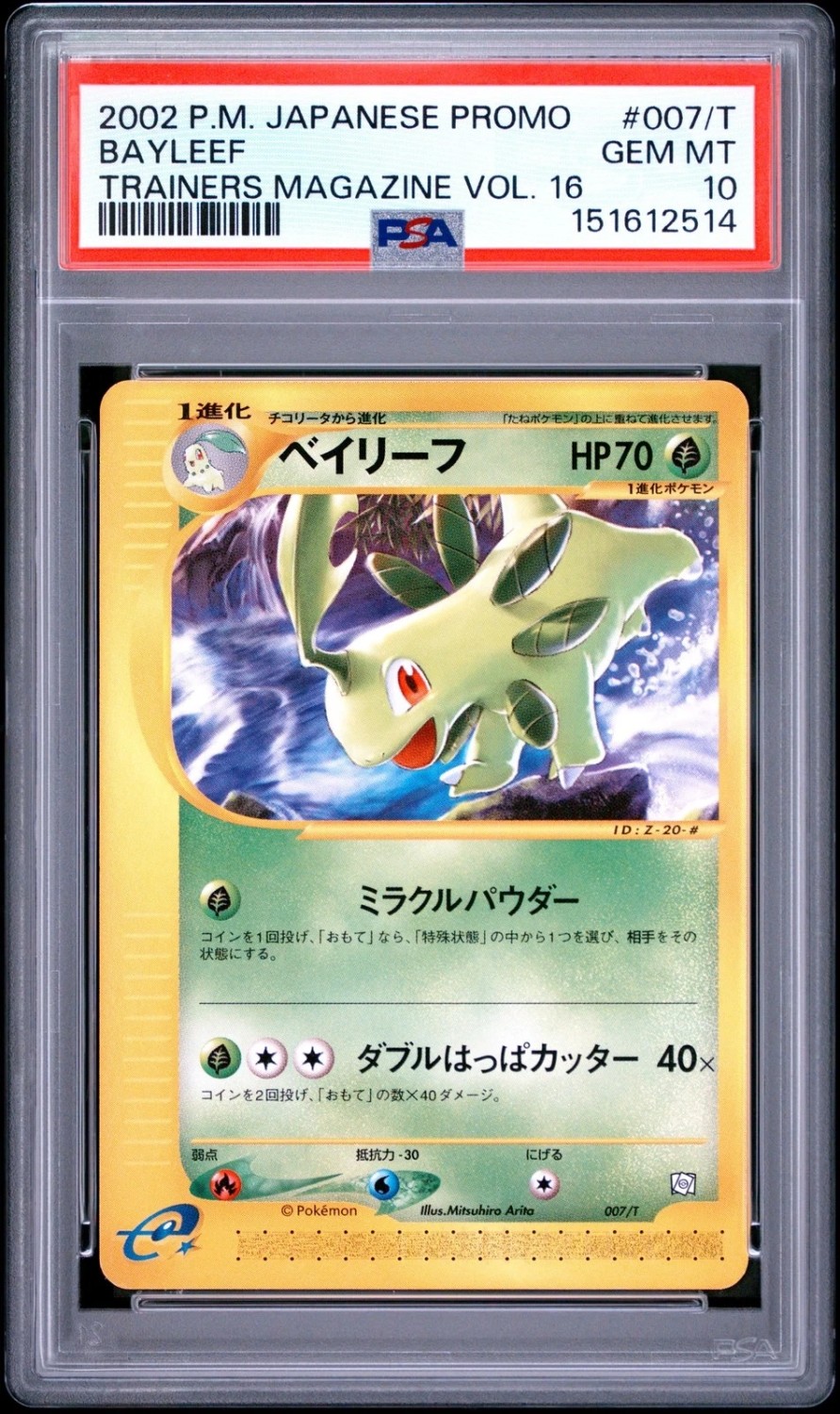 Bayleef