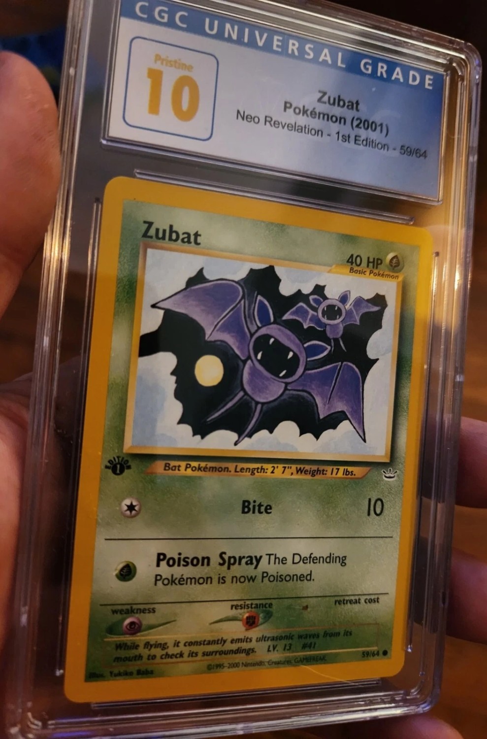 Zubat