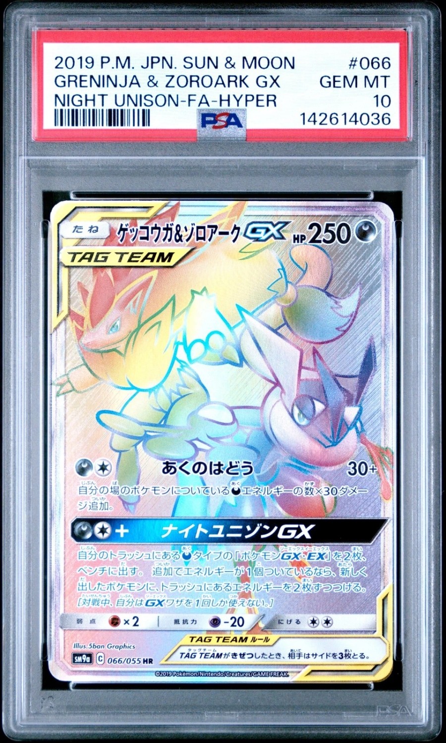 Greninja & Zoroark GX