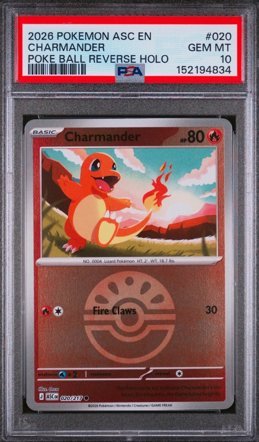 CHARMANDER