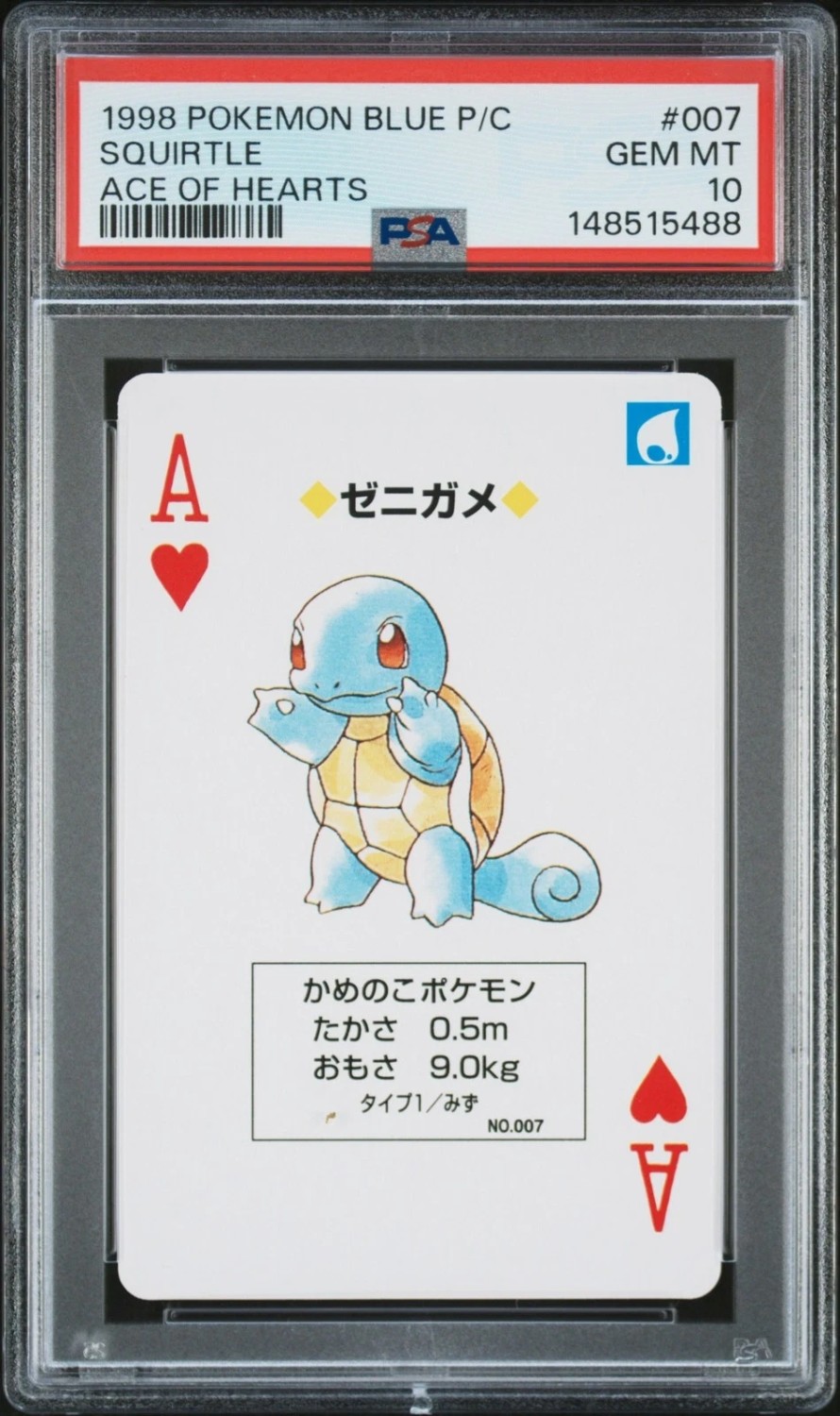 Squirtle