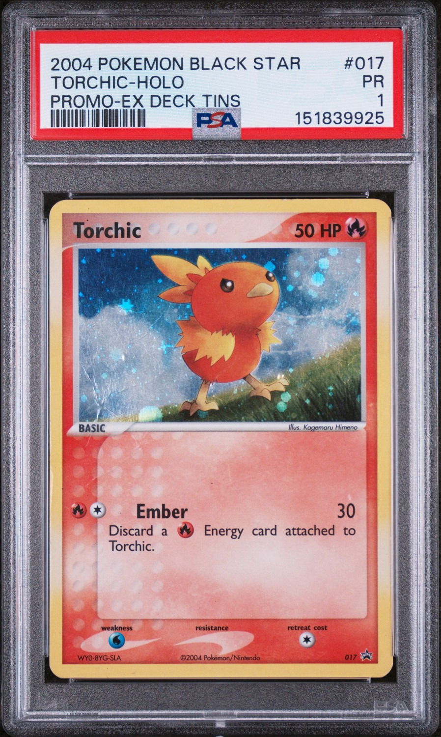 Torchic