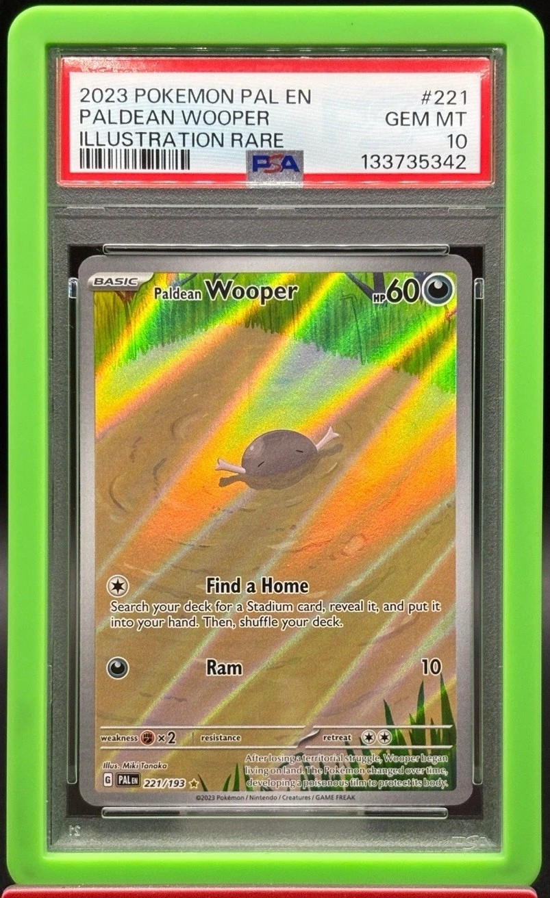 Paldean Wooper