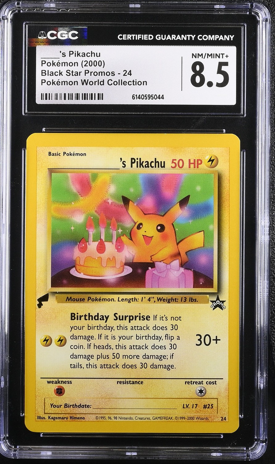 ____'s Pikachu