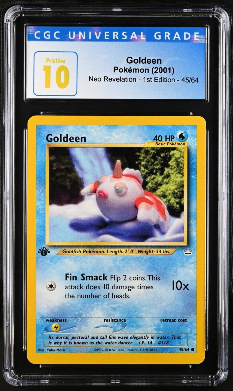 Goldeen