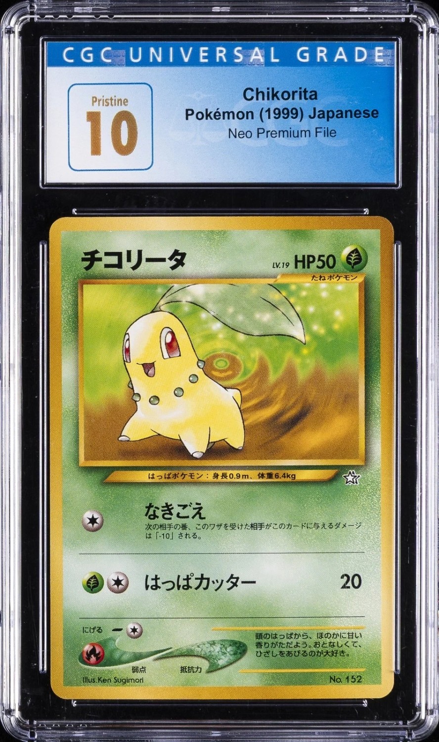 Chikorita
