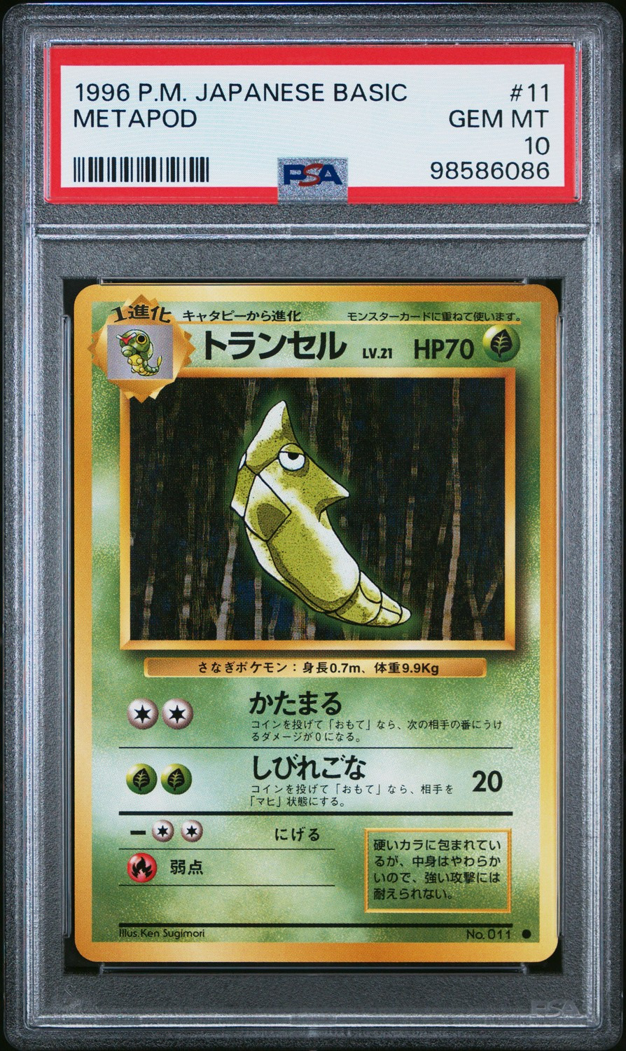 Metapod