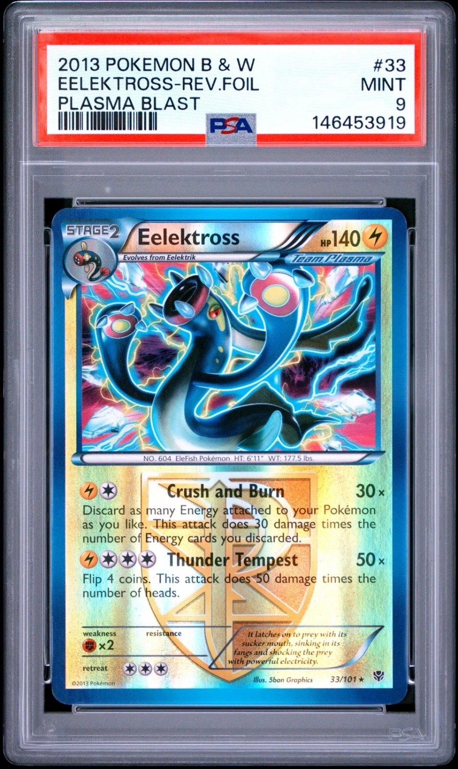 Eelektross
