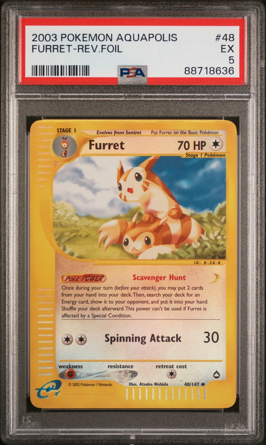 Furret