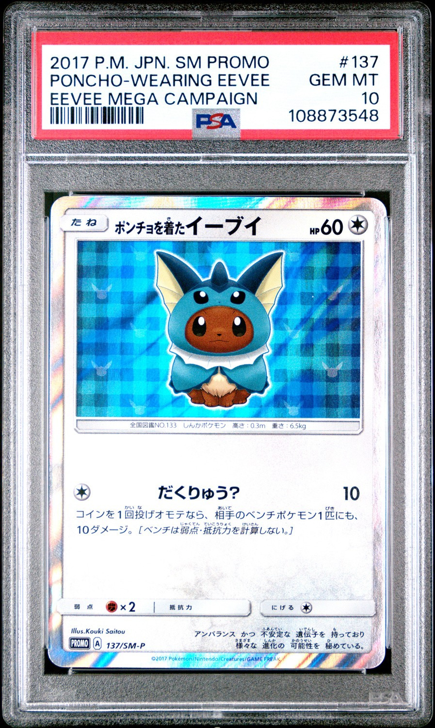 Poncho-wearing Eevee