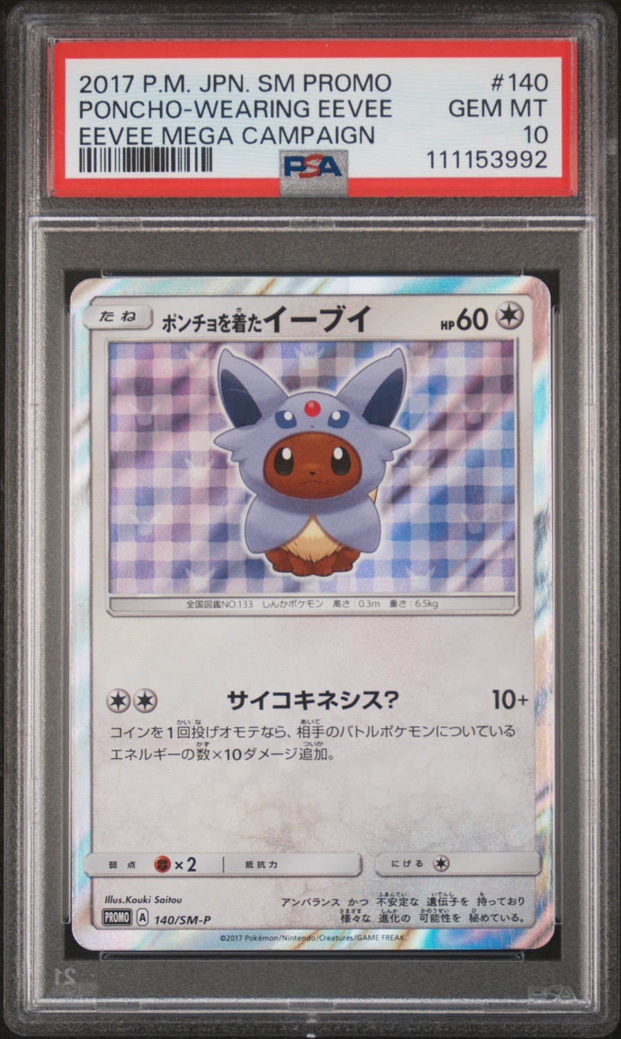 Poncho-Wearing Eevee
