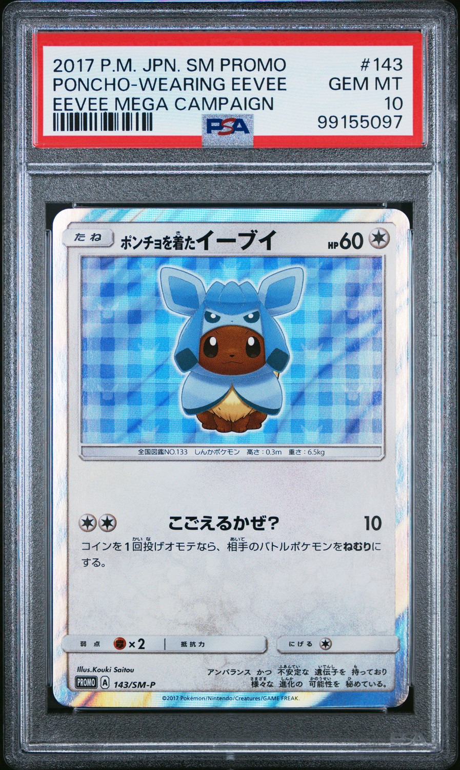 Poncho-Wearing Eevee