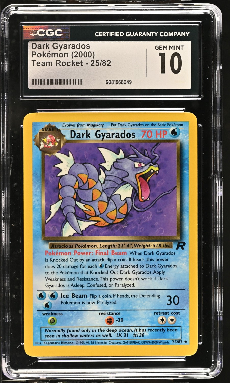 Dark Gyarados
