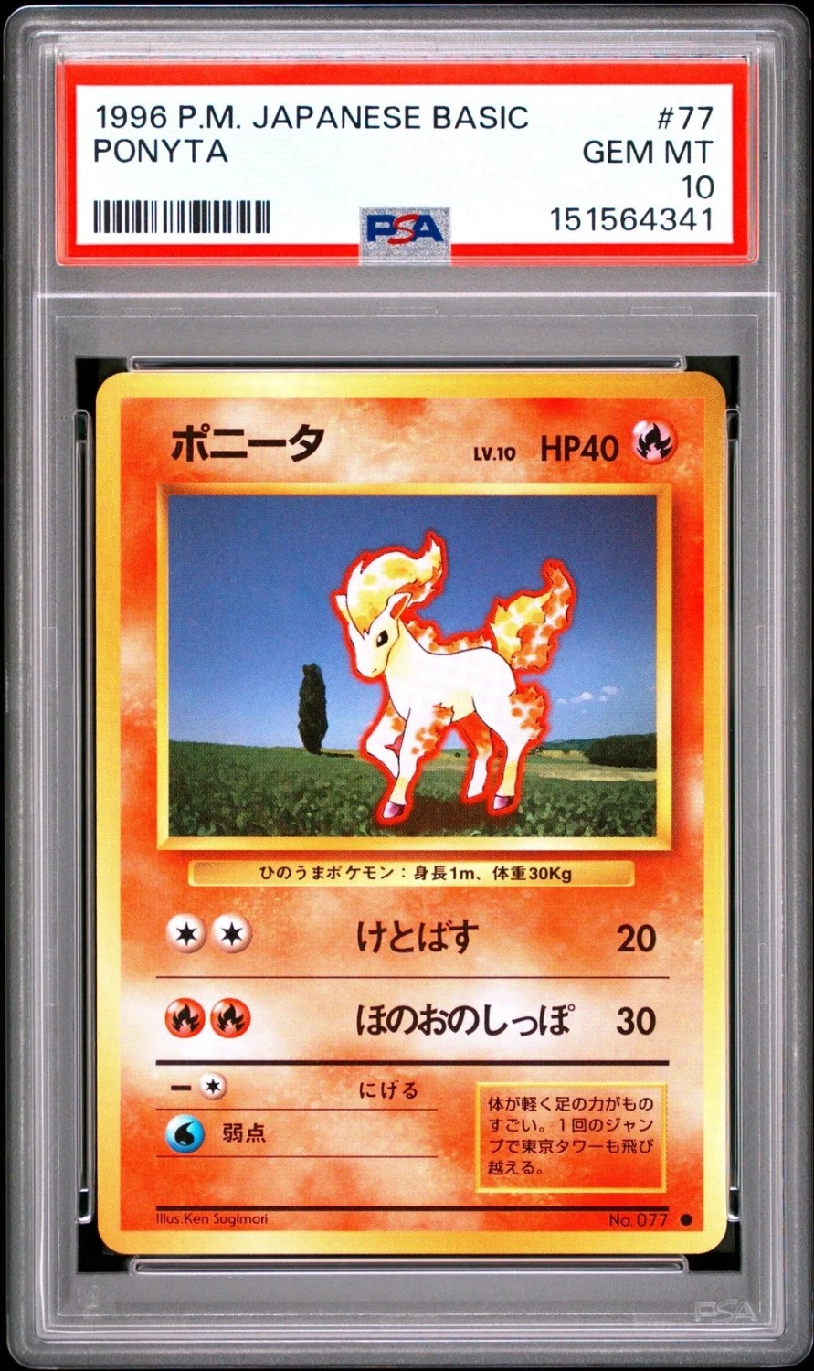 Ponyta
