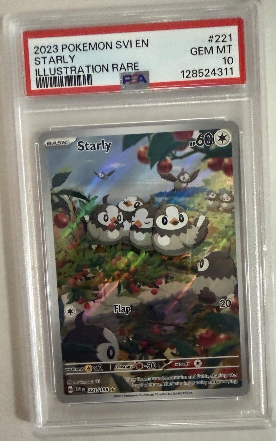 Starly