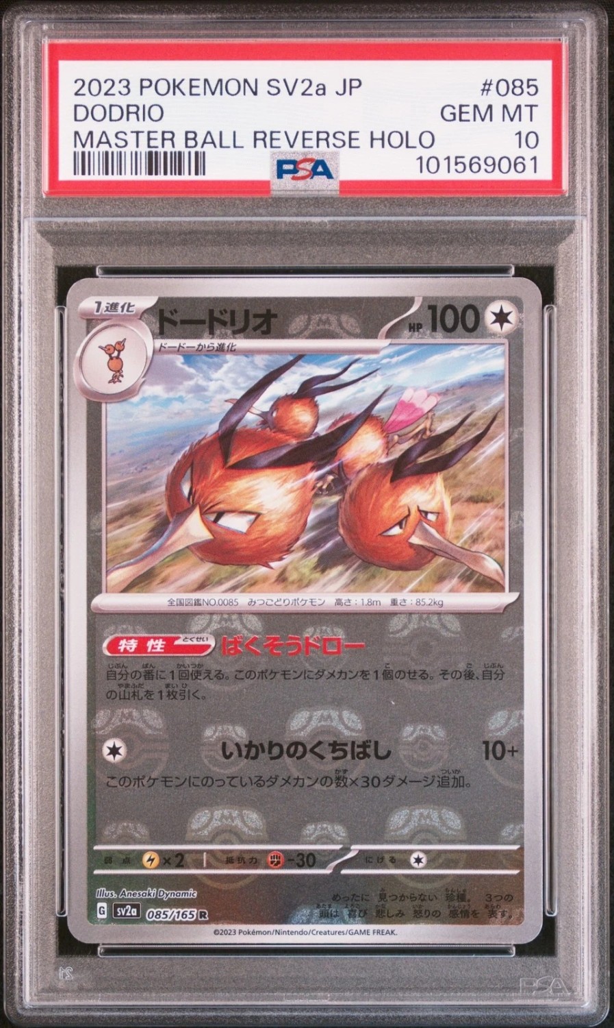 Dodrio