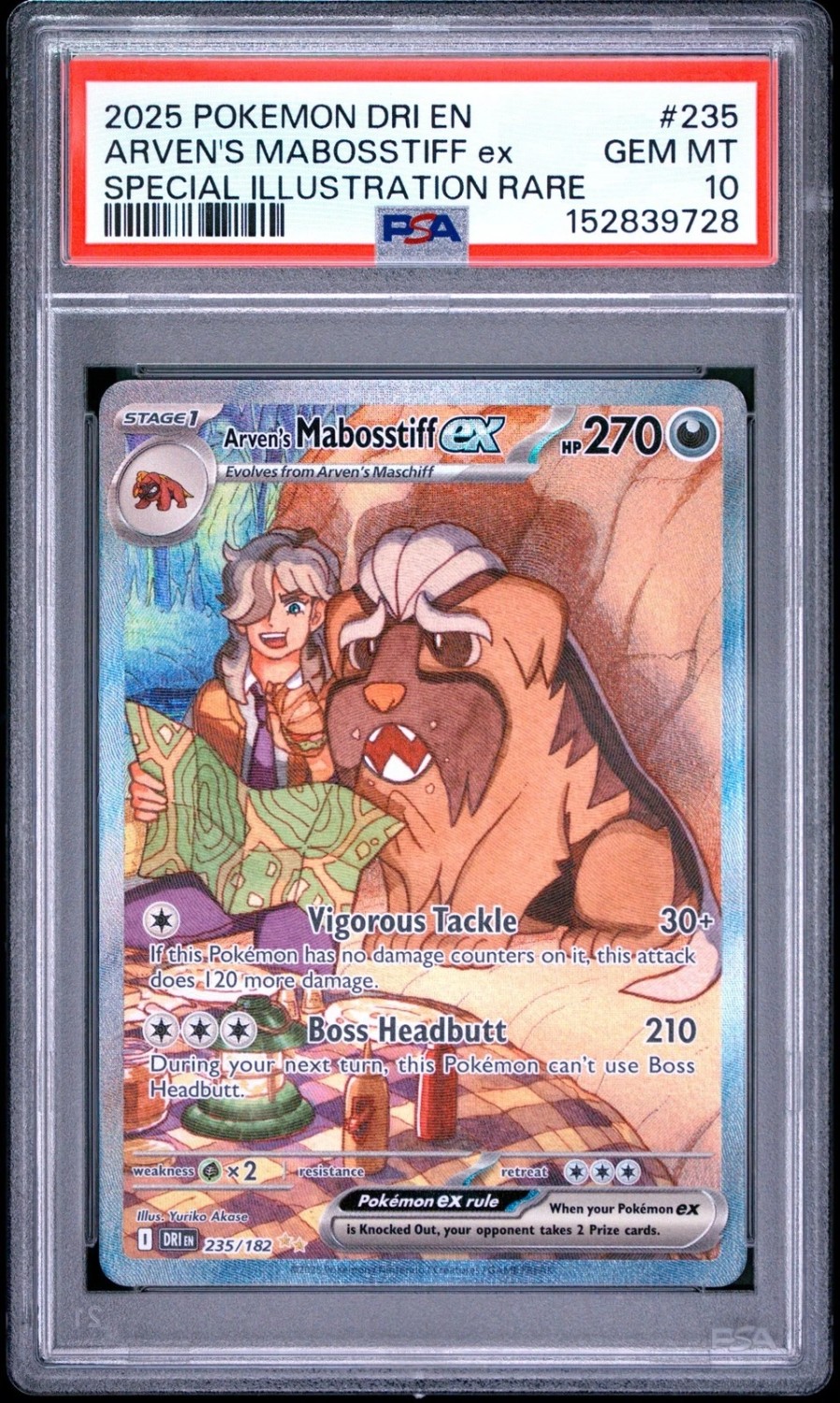 ARVEN'S MABOSSTIFF ex