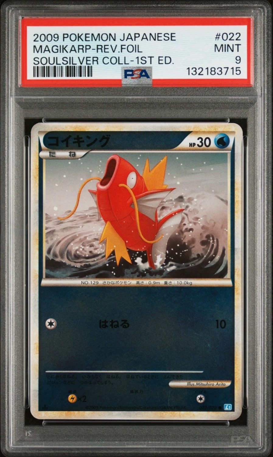 Magikarp