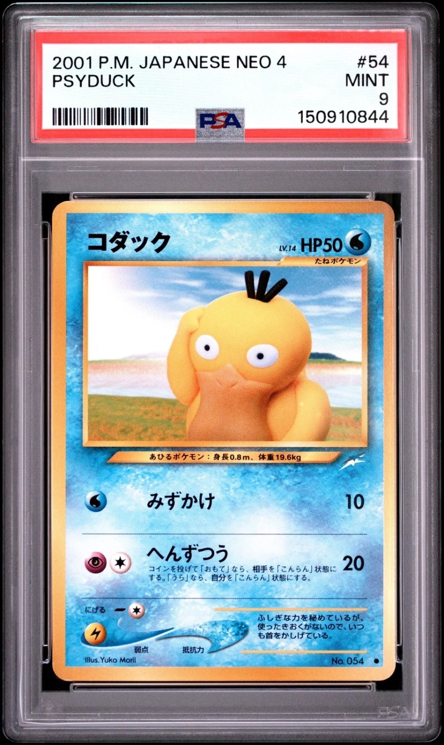 Psyduck