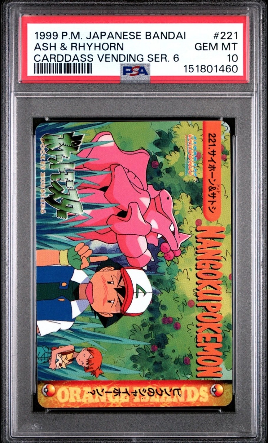 Ash & Rhyhorn