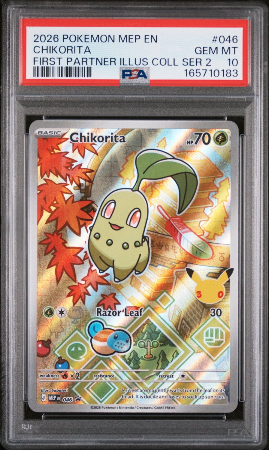 Chikorita