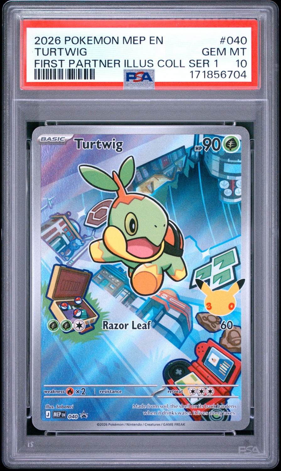 Turtwig