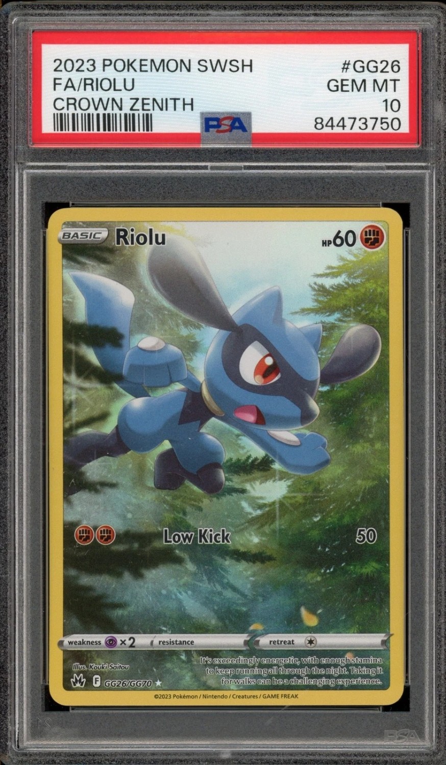 Riolu