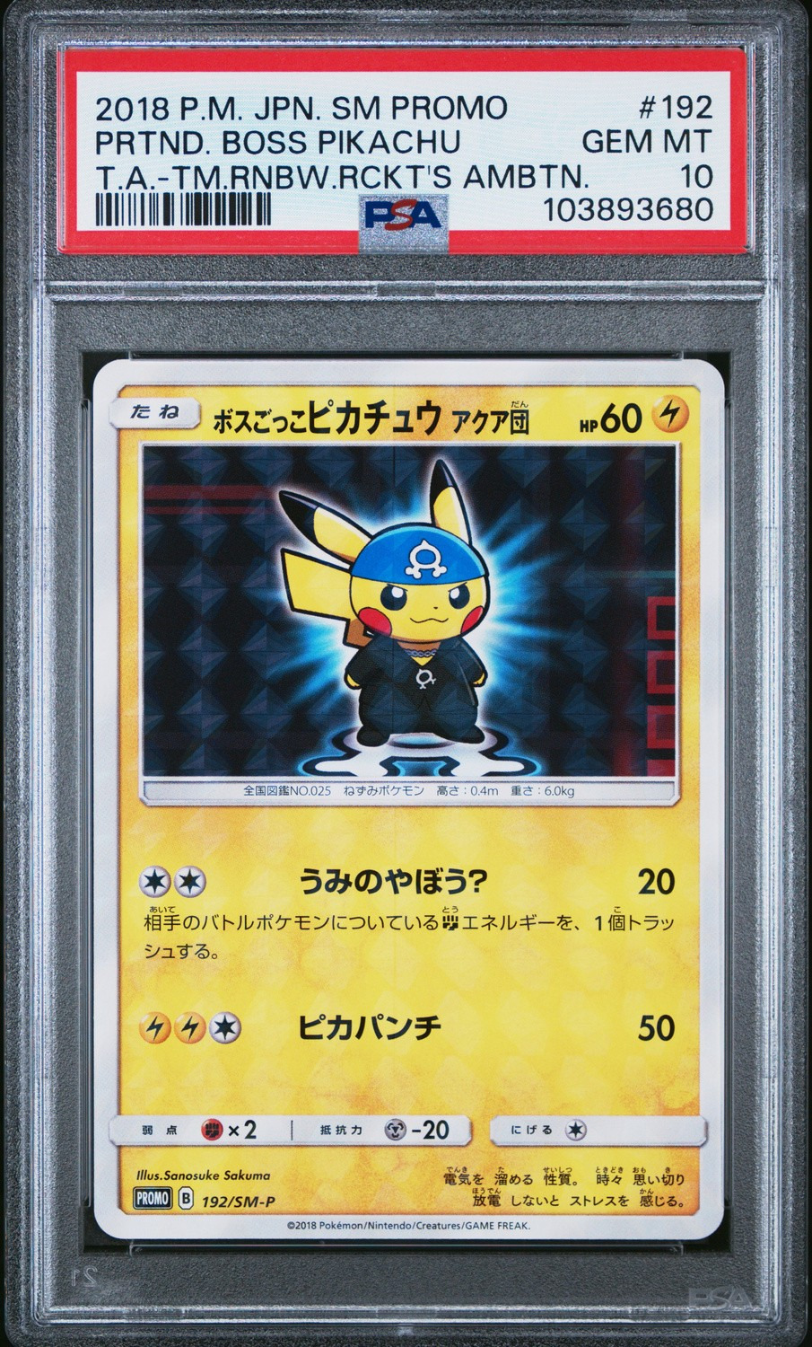 Pretend Boss Pikachu Team Aqua