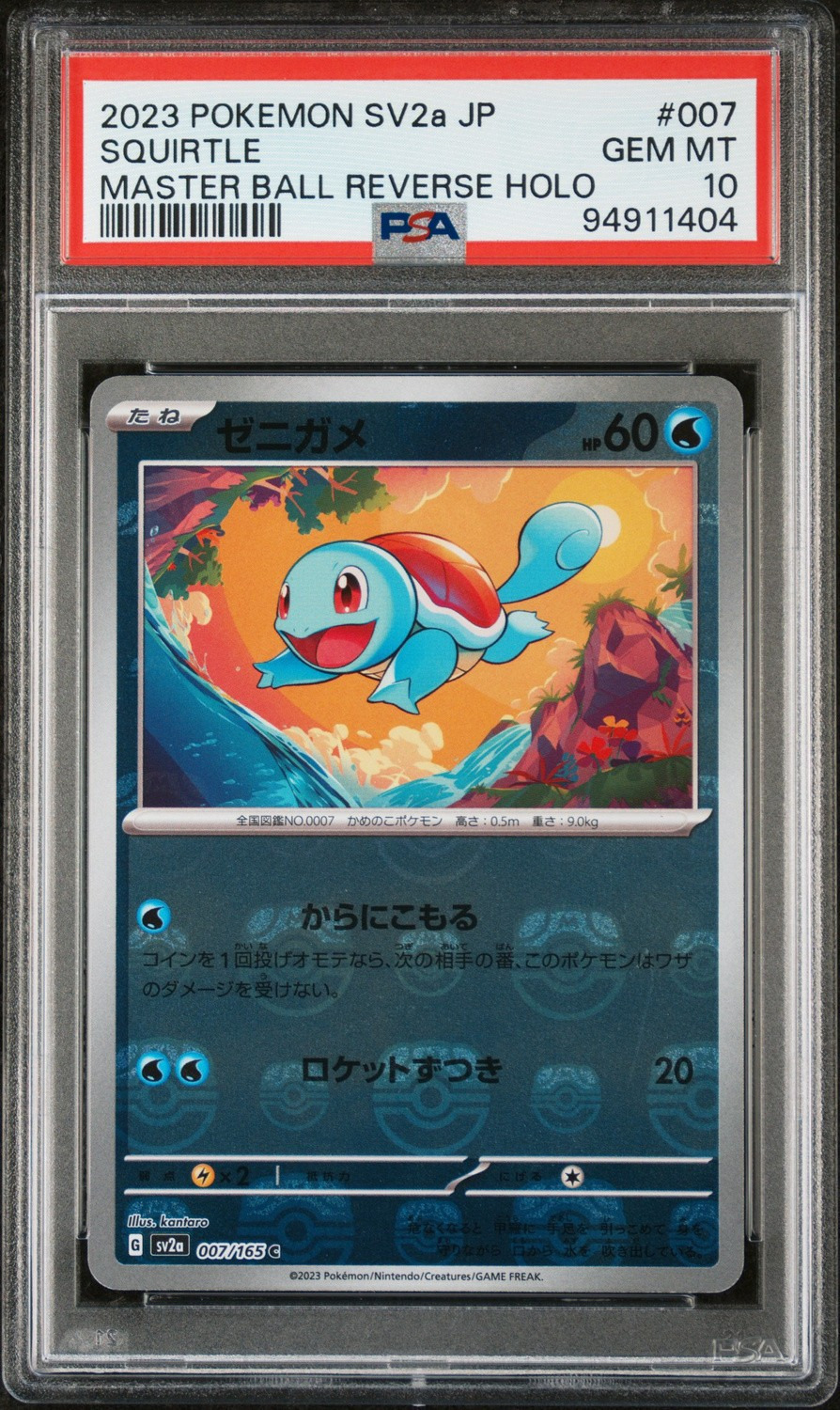 Squirtle