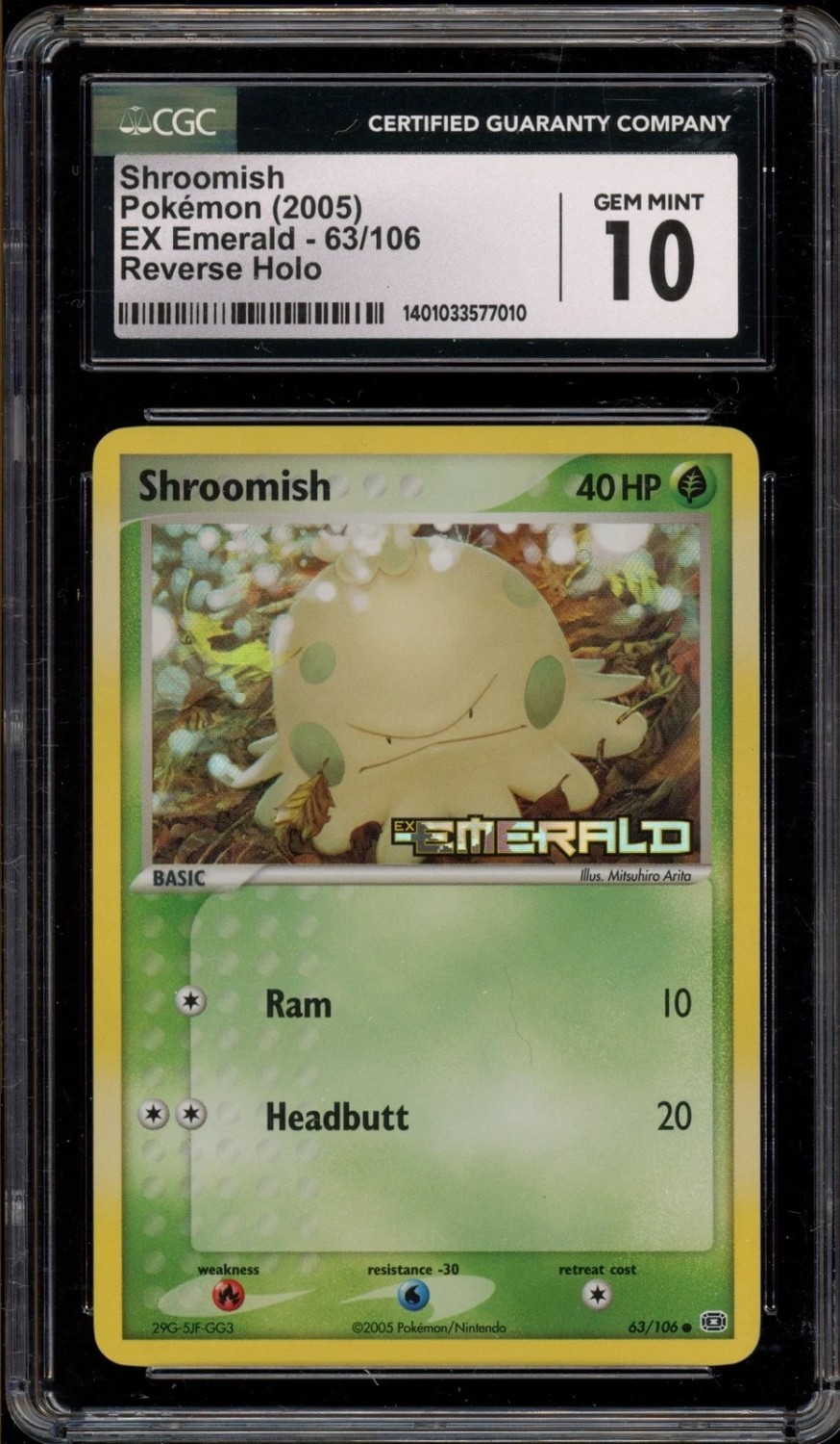 Shroomish