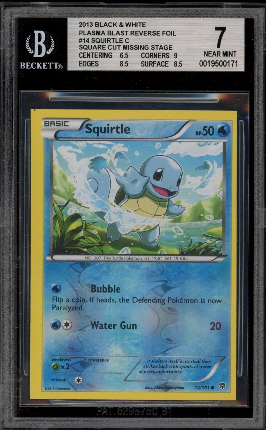 Squirtle C