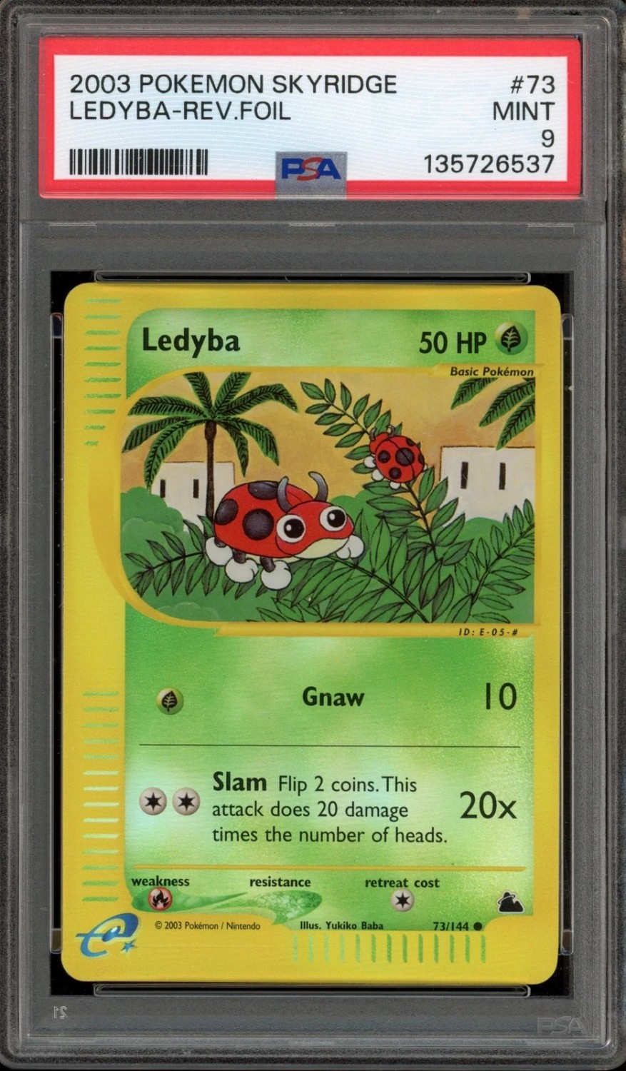 Ledyba