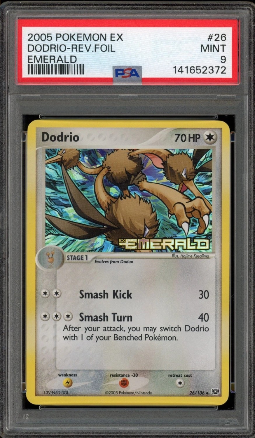 Dodrio