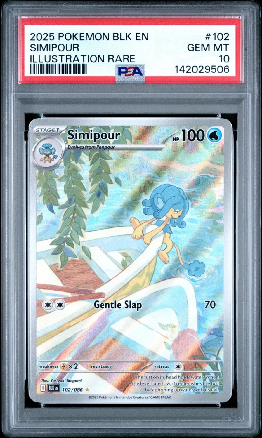 Simipour
