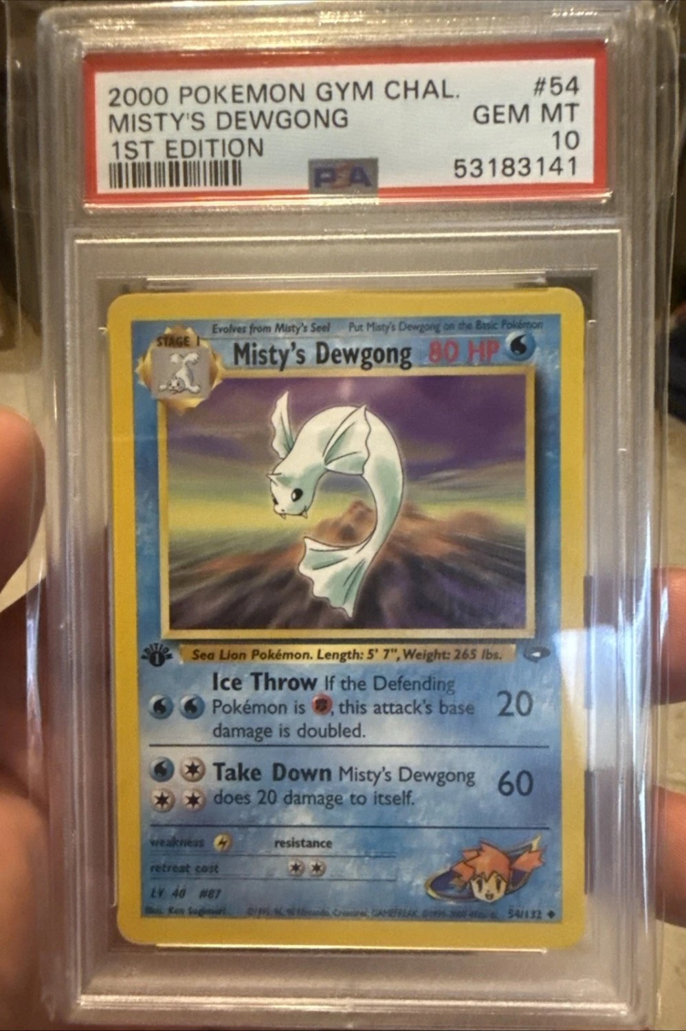 Misty's Dewgong