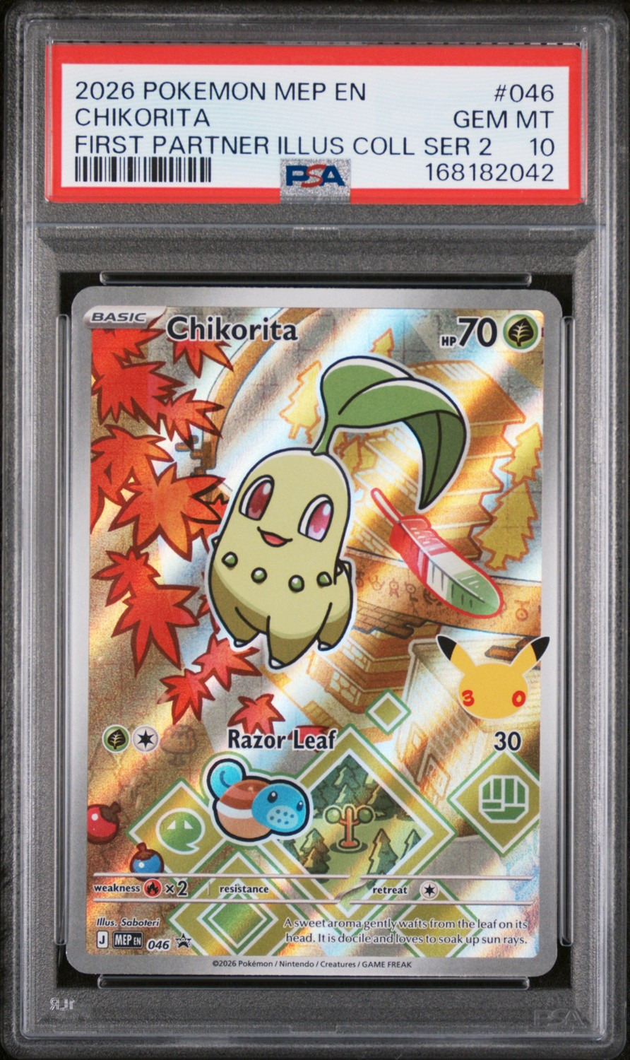 Chikorita