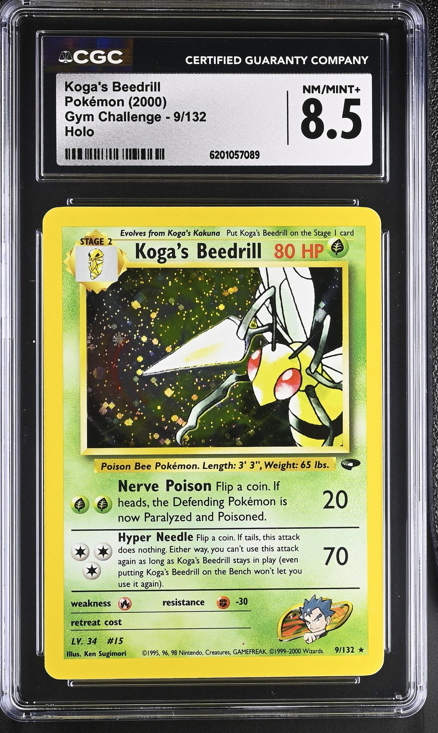 Koga's Beedrill