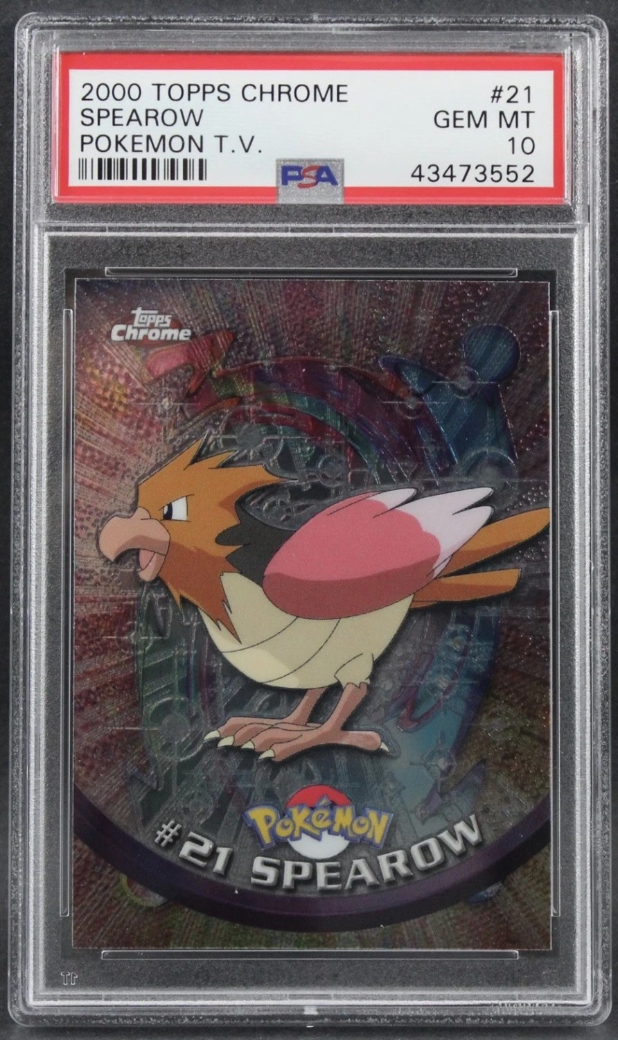 Spearow