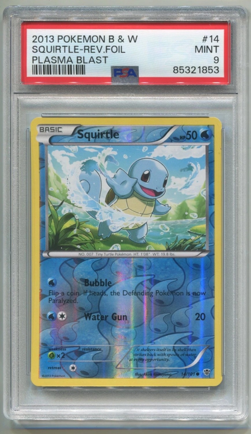 Squirtle C