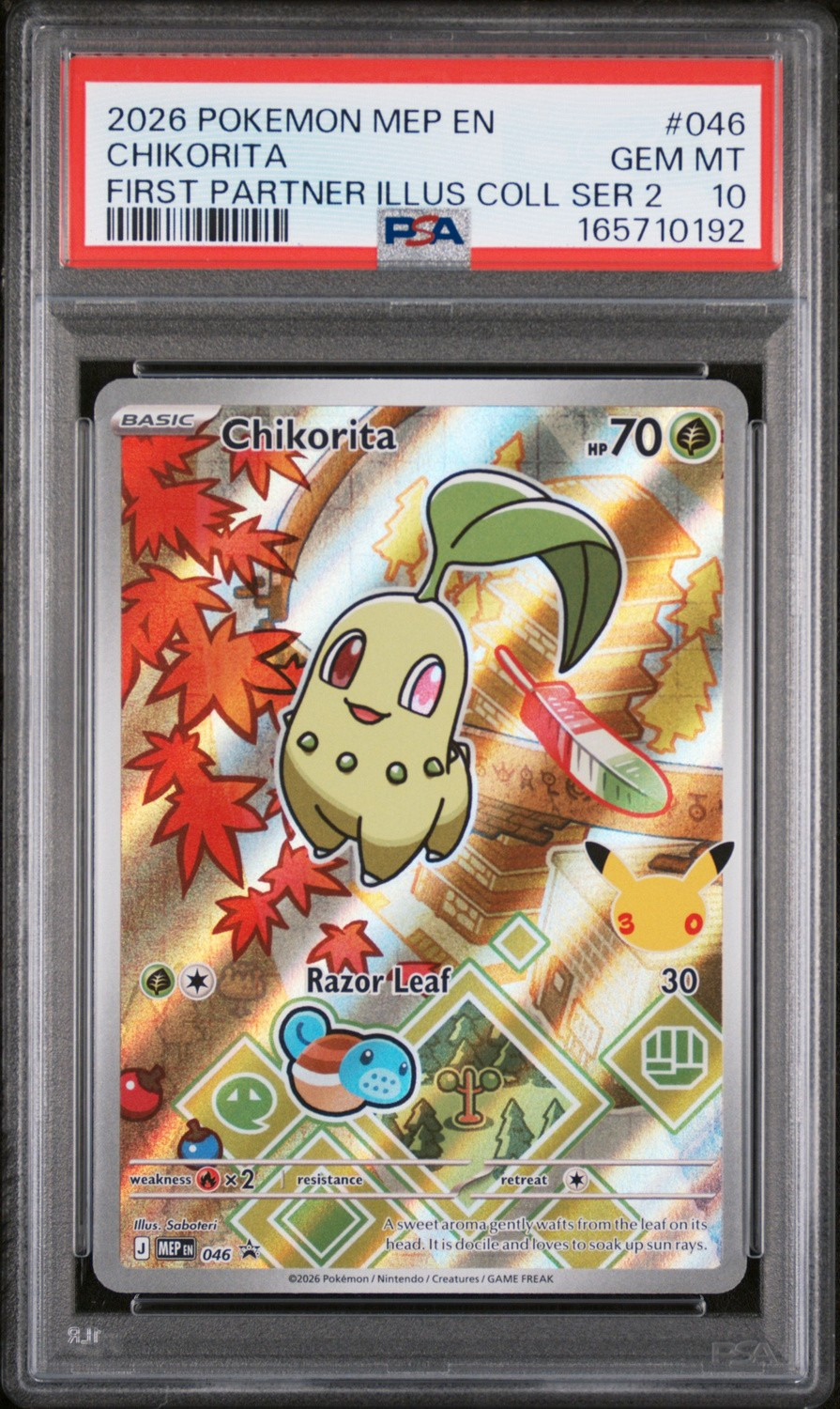Chikorita