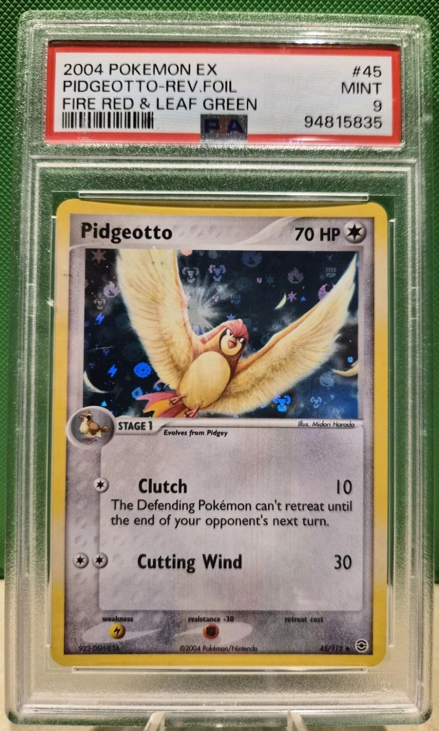 Pidgeotto