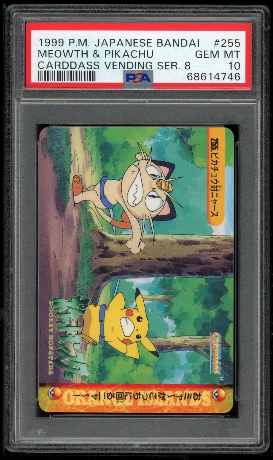 Meowth & Pikachu