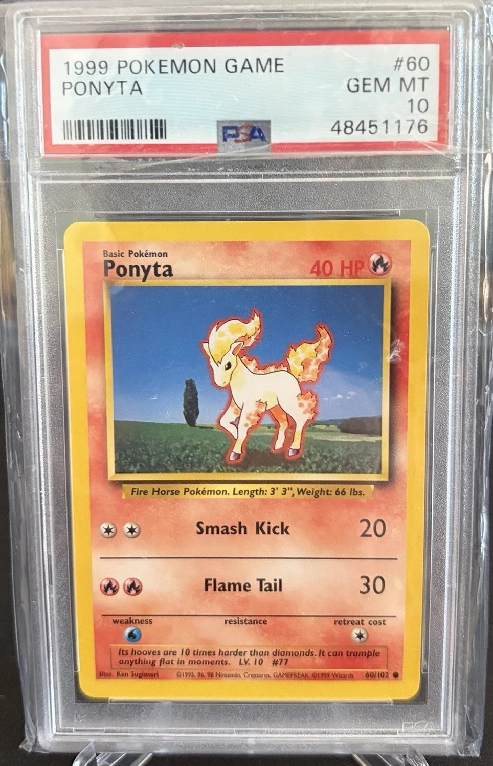 PONYTA