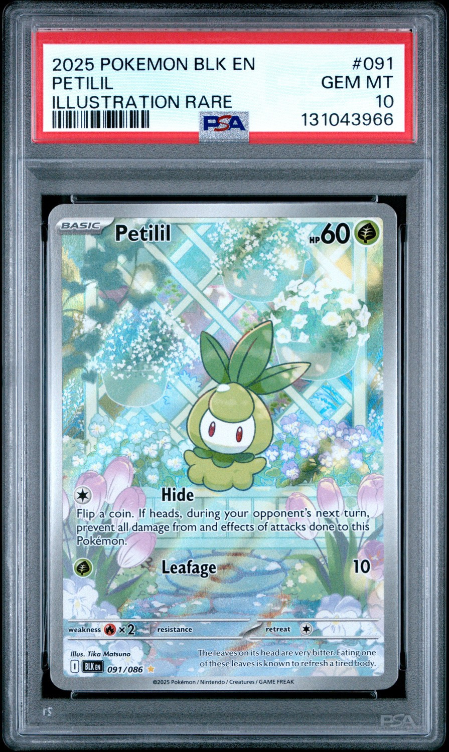 Petilil